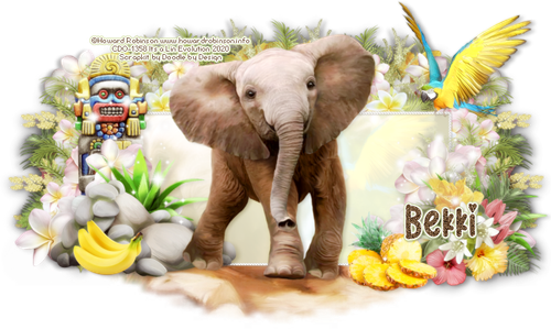 Lin Robinson Jungle2 Bekki.png