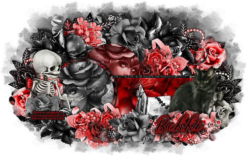 Red Black Sig.png