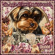 Bibliotheca Yorkie Ava.png