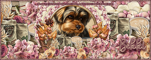 Bibliotheca Yorkie Sig.png