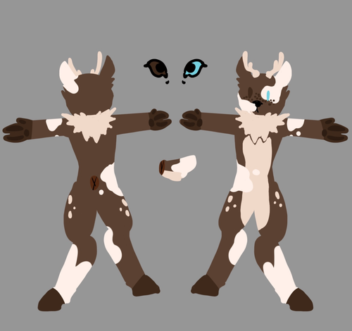 IMG 0070.png