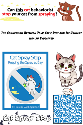 28.png