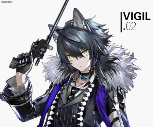 46481.gif