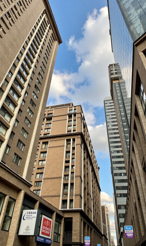 52ec92e2a077.jpg