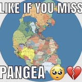 pangea.png
