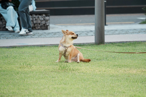 phptsnlosn1168rdYlYcxF.jpg