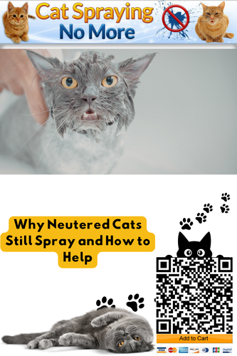 22.png
