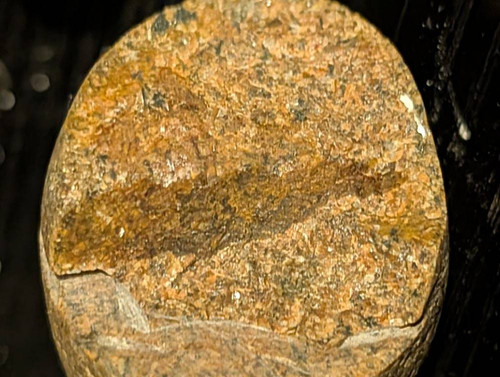 6422fec1e9c8.jpg