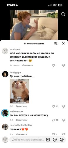 IMG 5004.png