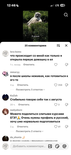 IMG 5009.png
