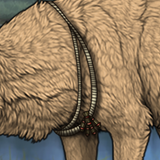 Capture.png