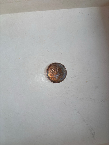 25fd3c97338c.jpg
