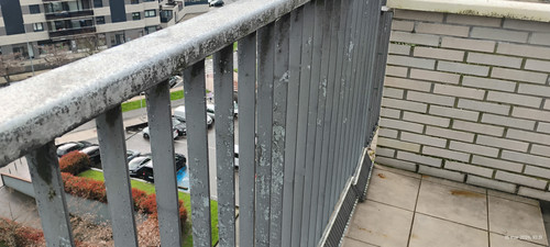 IMG 20260315 103158384 HDR.jpg