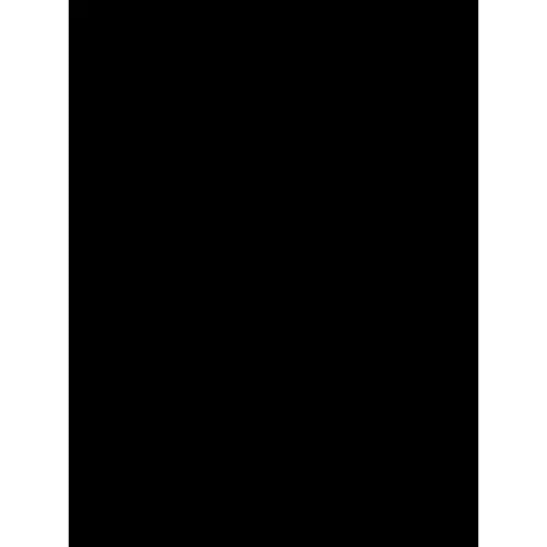 file.webp