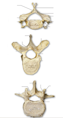 eb75425c8364.png
