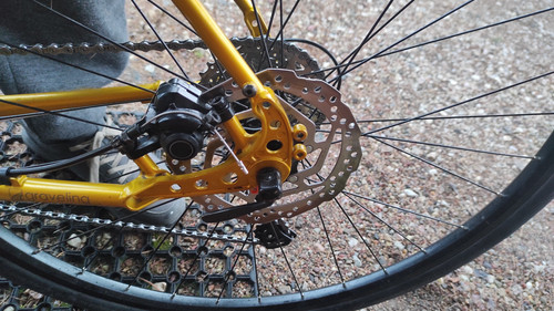 IMG 20260315 174818.jpg