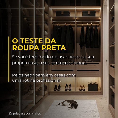 post gato closet.jpg