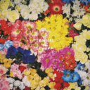 79c3c53f3a45.png
