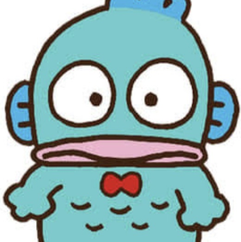 IMG 7372.png