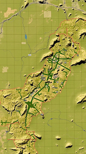 d387b27e204e.jpg