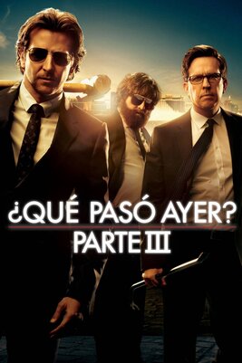 The Hangover Part III [2013] [BD25-USA] [Latino]