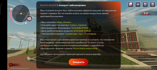 41302.jpg