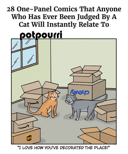 one panel comics cats laughinghippostudio.jpg