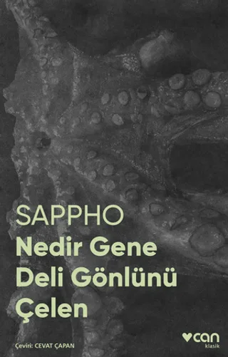 odak 451930.webp