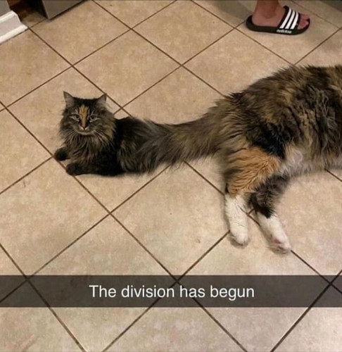 653467059 122173872476887089 5208288308863243768 n.jpg