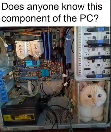 651238270 10238638829925930 7495543684148702170 n.jpg