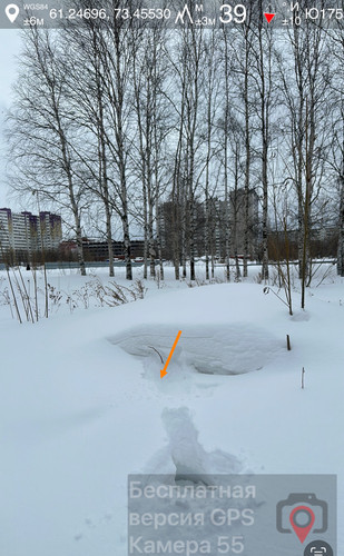 IMG 9330.jpg