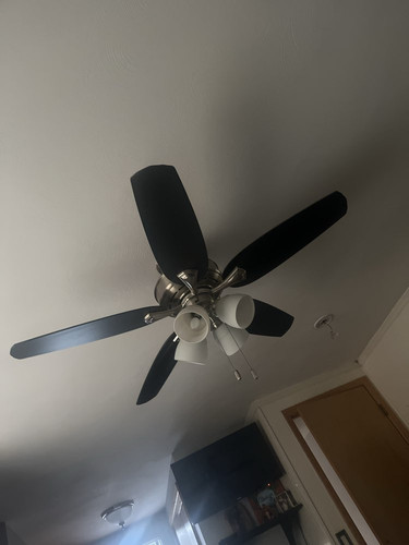 233fd3a1ce9c.jpg