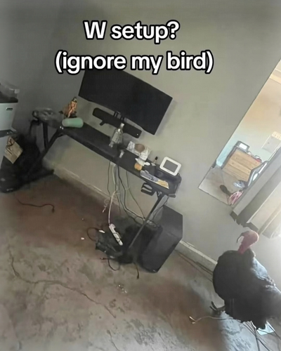 d1381885e58b.png