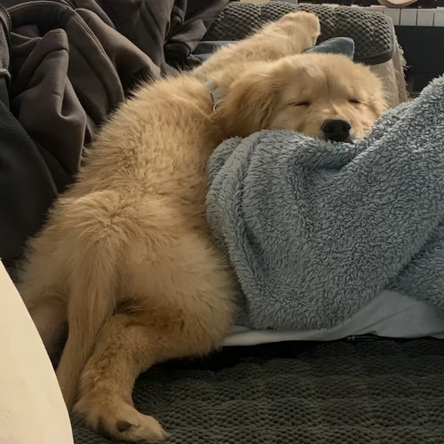 Screenshot 20260309 172525 com.ss.android.ugc.aweme edit 104706120841097.jpg