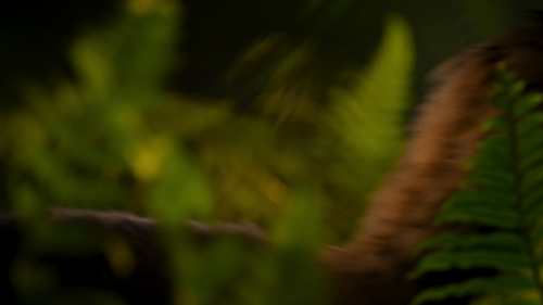 vlcsnap 2026 03 15 10h45m04s921.png