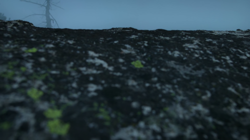 vlcsnap 2026 03 15 10h45m08s282.png