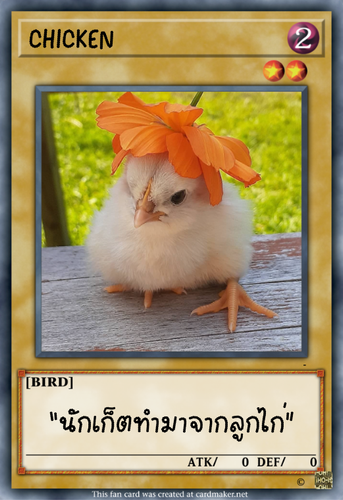 19.png