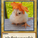 19