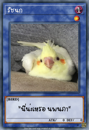 24.png