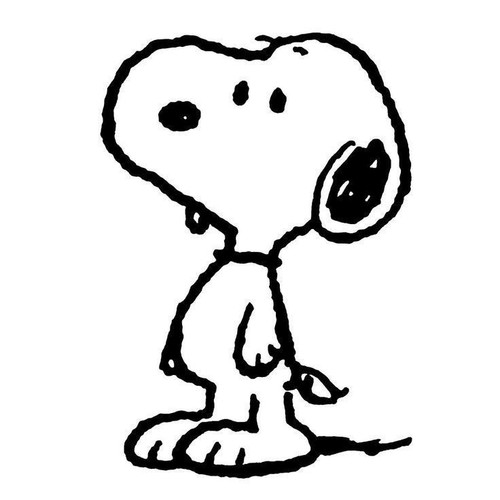 735b6c639c5b.jpg