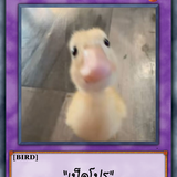 27