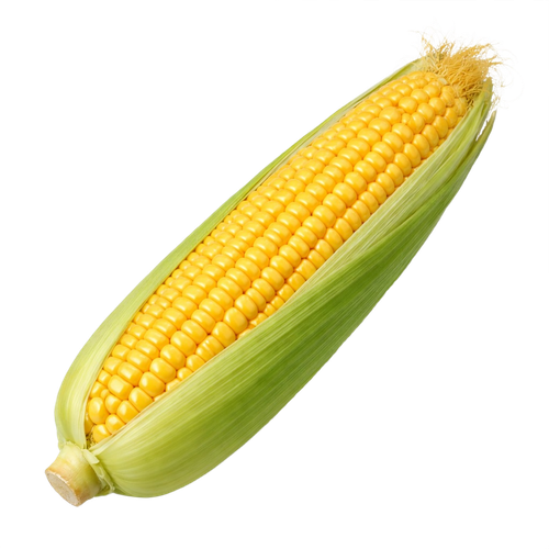 corn.png