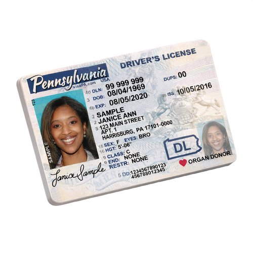 driver's license.png