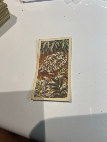 5390ccf96583.jpg