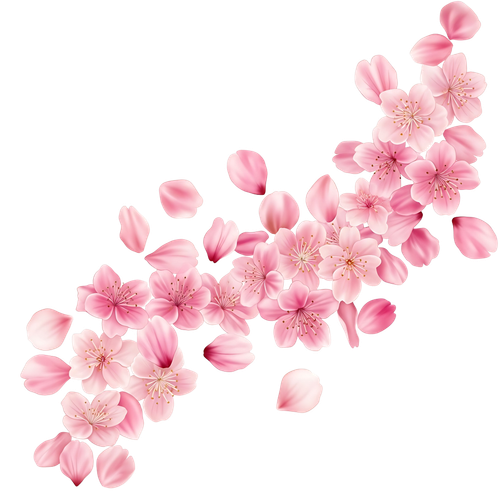 56e95293a4ce.png