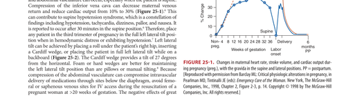fig 25 1.png