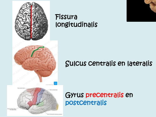 ca8a369f5063.png