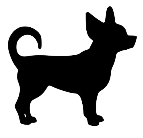 small dog.webp
