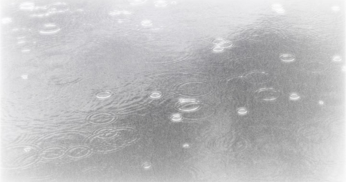 IMG 20260223 004153 edit 1354934907160438.png