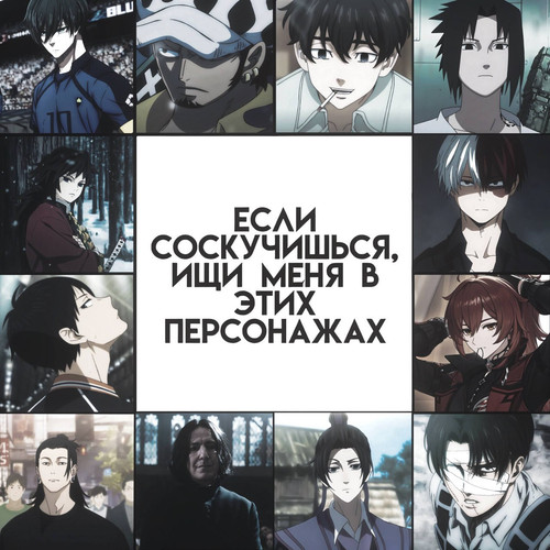 file 23233.jpg